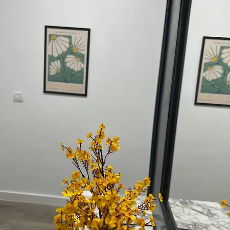 Piso Camino De Santiago Sarria